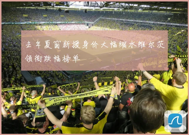 去年夏窗新援身价大幅缩水维尔茨领衔跌幅榜单