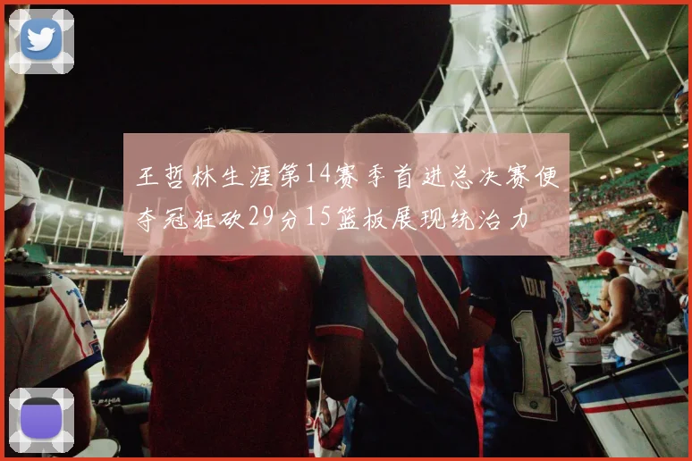 王哲林生涯第14赛季首进总决赛便夺冠狂砍29分15篮板展现统治力